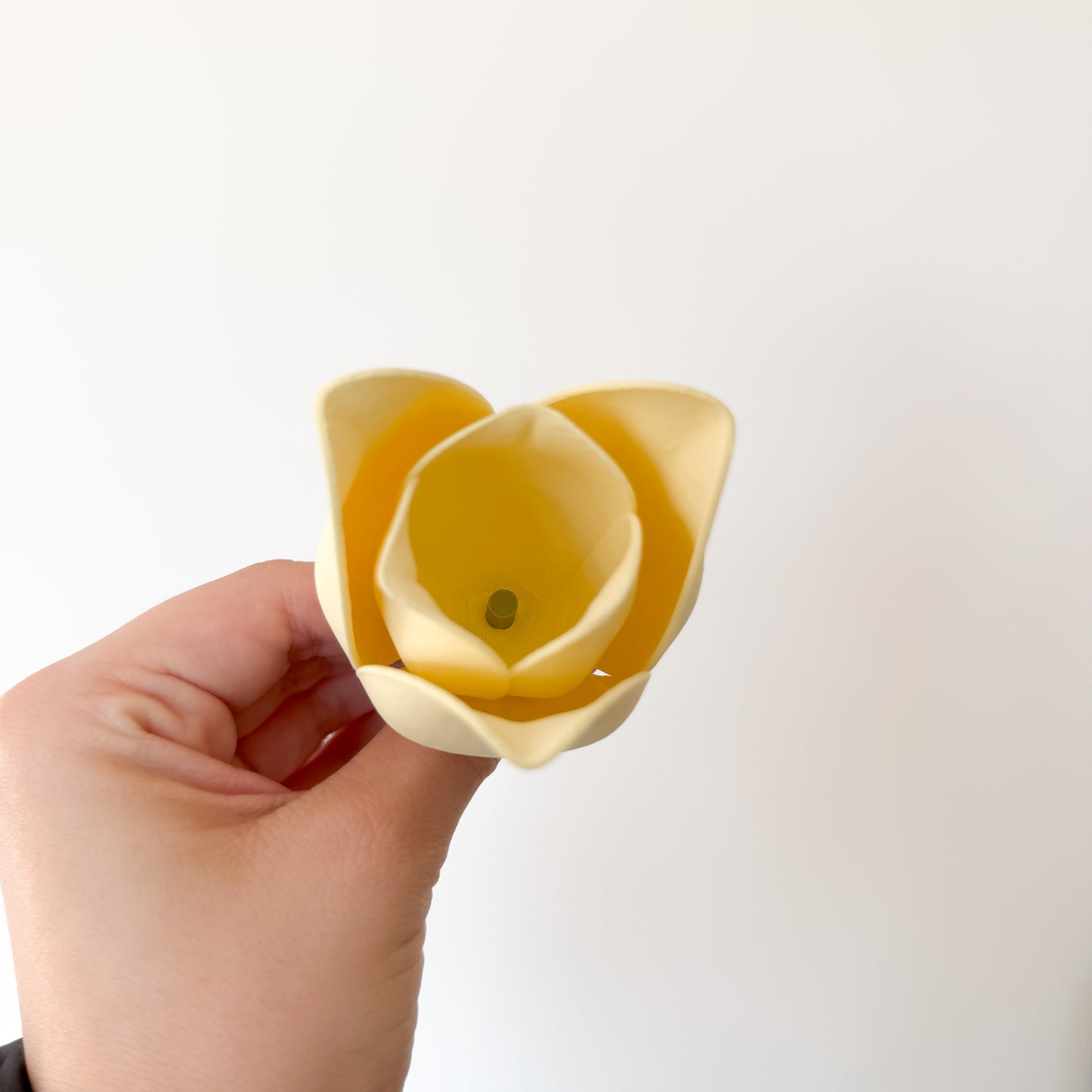 Tulpen - 3D Druckdatei